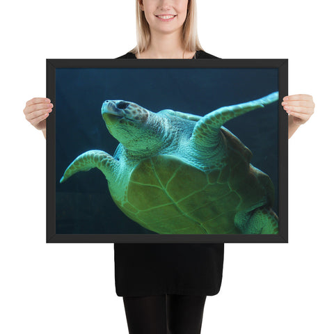 Tableau Tortue Marine Géante