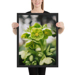 Tableau Fleur Verte Flore