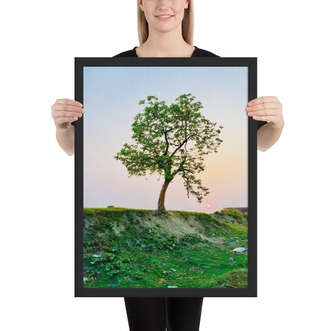 Tableau le Dernier Arbre Solitaire