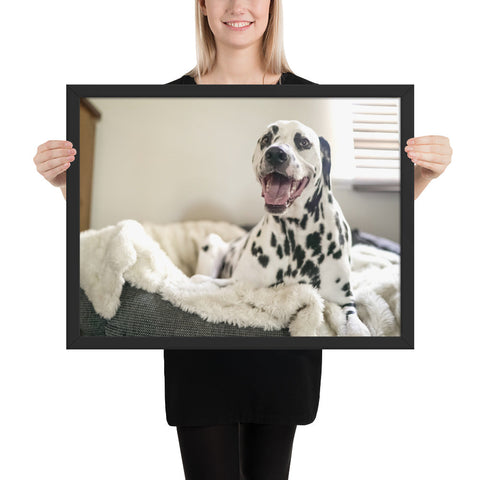 Tableau Dalmatien Heureux et Souriant