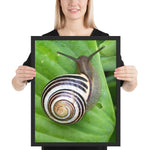 Tableau Escargot moderne