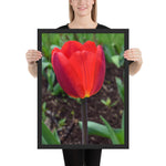 Tableau Fleur Tulipe Rouge