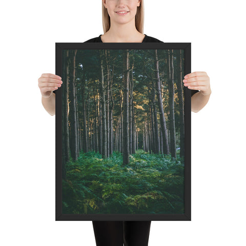 Tableau Forêt Sombre Landaise Verte