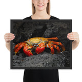 Tableau Crabe Face à Face