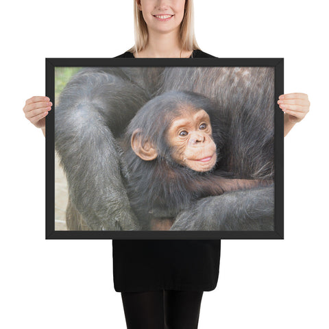 Tableau Chimpanzé et son Enfant