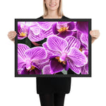 Tableau Design Fleur d'Orchidée et Papillons 