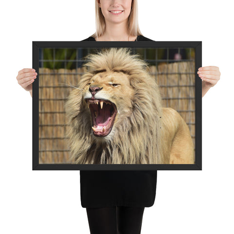 Tableau Lion qui Baille la Bouche Ouverte