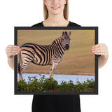 Tableau Zebra (Grand format)