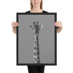  Tableau  Girafe Noir et Blanc Géante