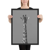  Tableau  Girafe Noir et Blanc Géante