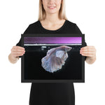 tableau aquarium faux poissons violets