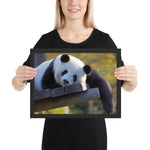  Tableau Panda Affalé (Le paresseux)
