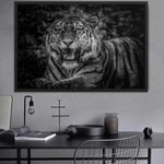 tableau noir et blanc tigre